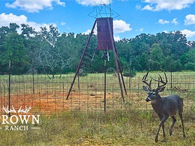 Land for sale in Caldwell, Texas