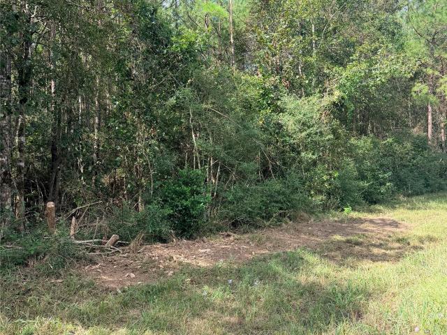 Land for sale in Polk, Texas