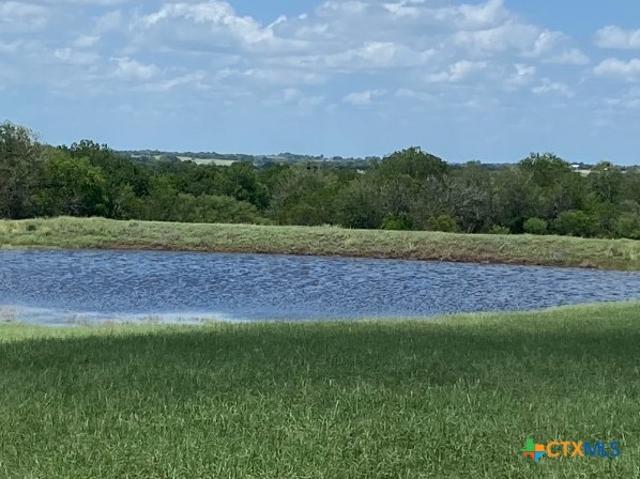 Land for sale in Dewitt, Texas
