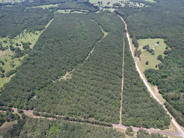 Land for sale in Panola, Texas