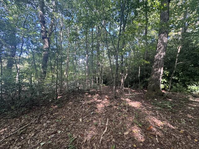 Land for sale in Fancy Gap, Carroll County