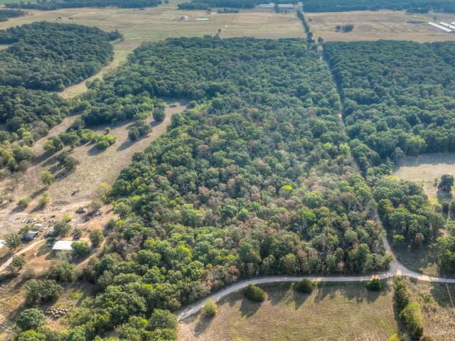 Land for sale in Pierce City, Newton County