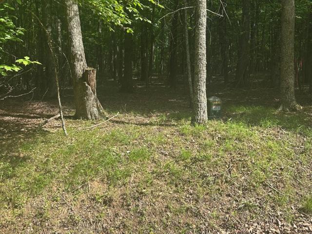 Land for sale in Virginia