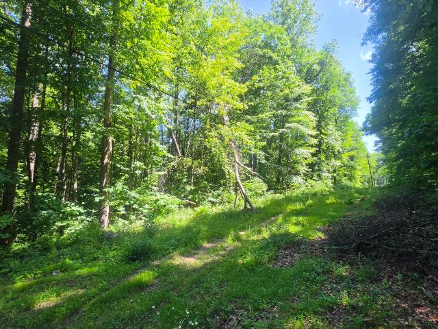 Land for sale in Virginia