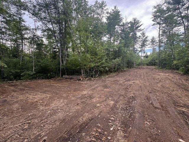Land for sale in Limerick, Maine