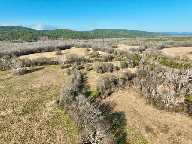 Farm for sale in Parks, Scott County