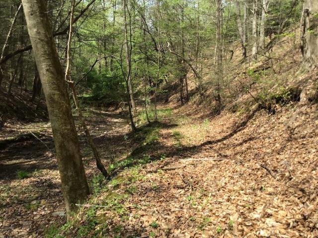 Land for sale in Virginia