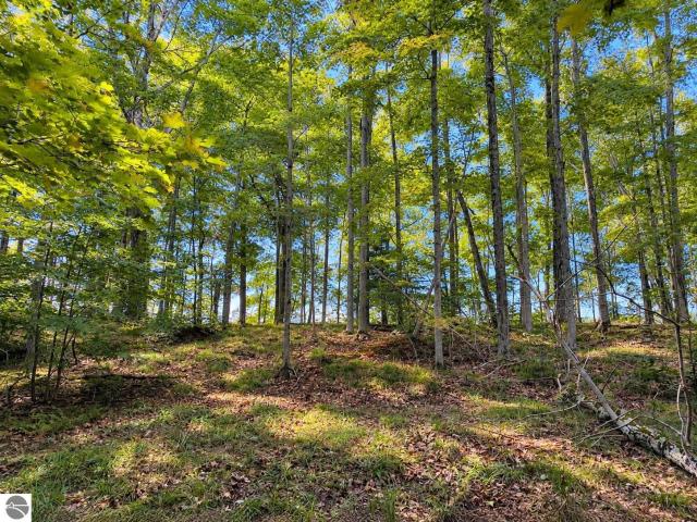 Land for sale in Michigan