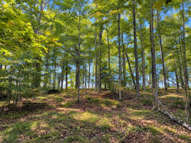 Land for sale in Michigan
