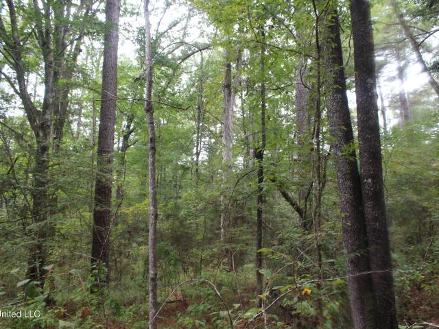 Land for sale in Crosby, Mississippi