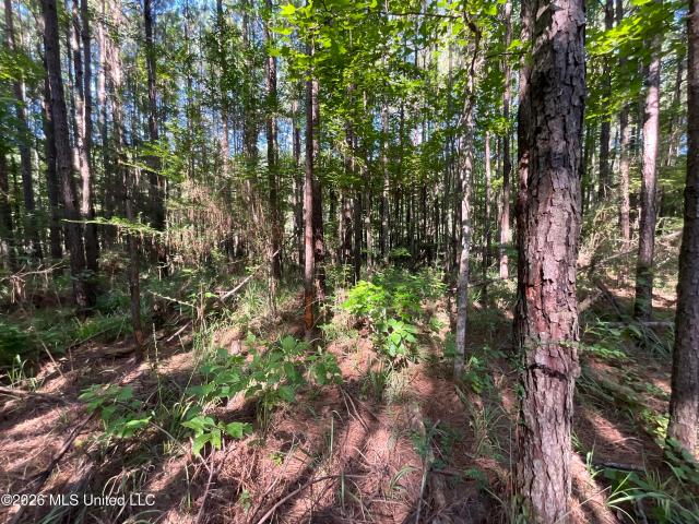 Land for sale in Crosby, Mississippi