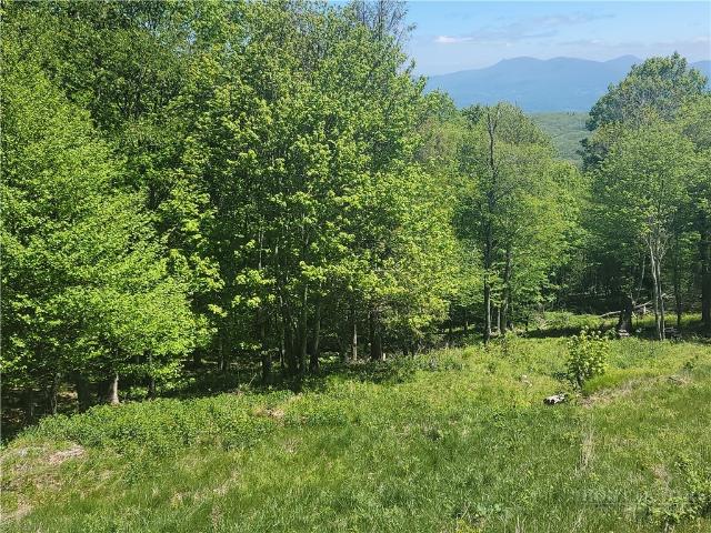 Land for sale in Watauga, North Carolina