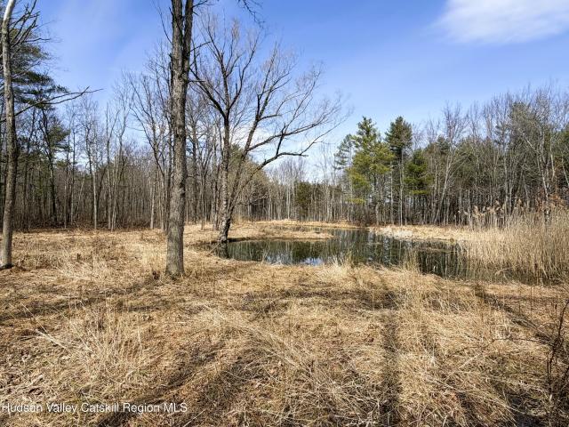 Land for sale in Acra, New York