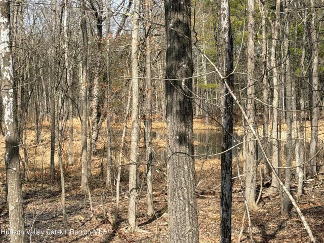 Land for sale in Acra, New York