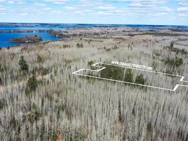 Land for sale in Cook, Minnesota