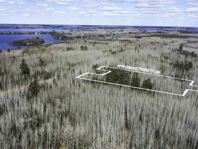 Land for sale in Cook, Minnesota