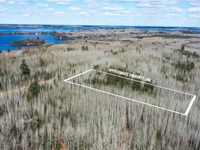 Land for sale in Cook, Minnesota