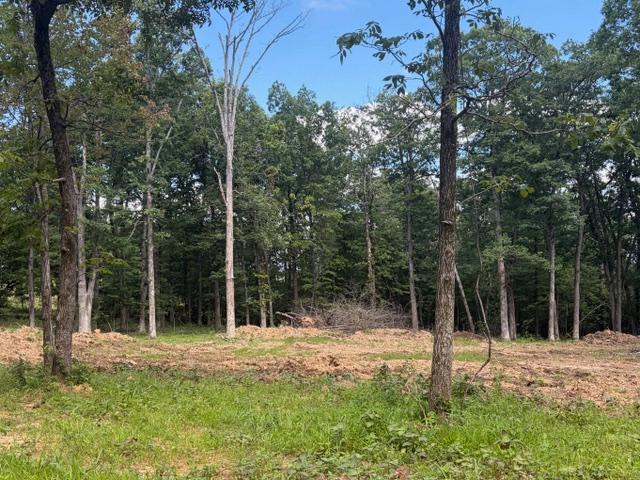 Land for sale in Ark