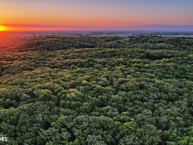 Farm for sale in Iowa