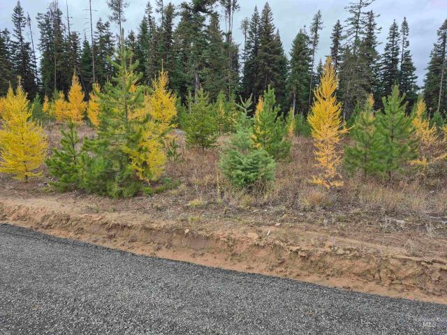 Land for sale in Idaho