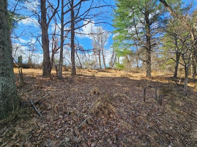 Land for sale in Virginia