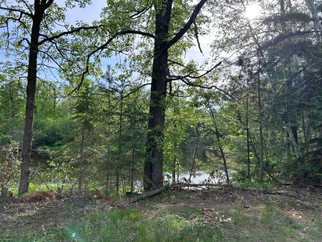 Land for sale in Pine River, Minnesota