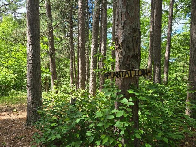 Land for sale in Remer, Minnesota