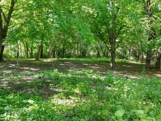 Land for sale in Rockford Township, Wright County