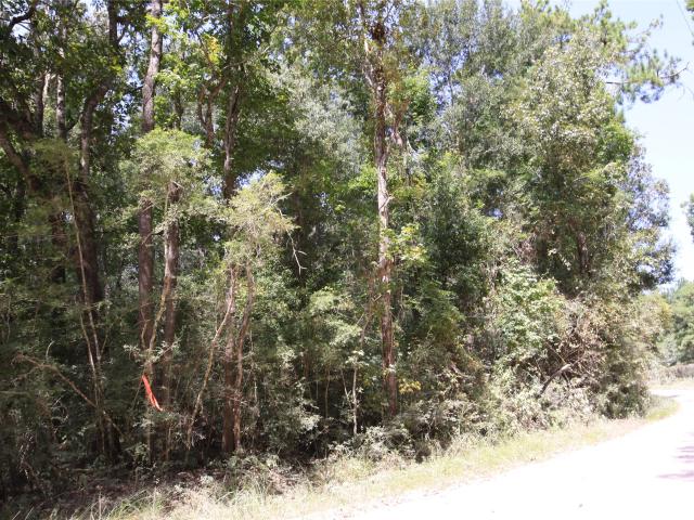 Land for sale in Batson, Texas