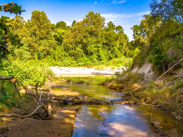 Land for sale in Polk, Texas