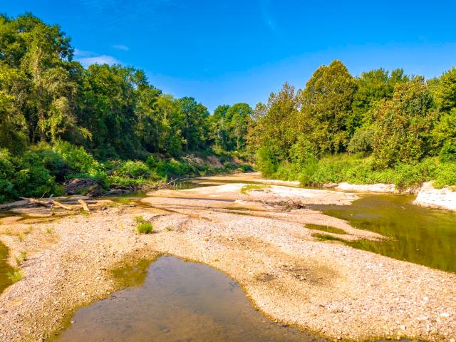Land for sale in Polk, Texas
