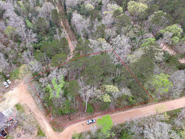 Land for sale in Polk, Texas