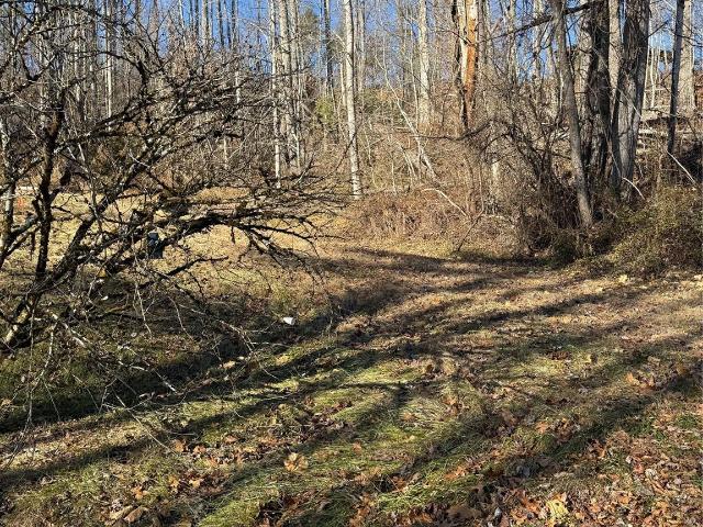 Land for sale in Spruce Pine, North Carolina