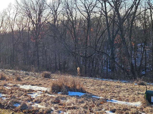 Land for sale in Galena, Illinois