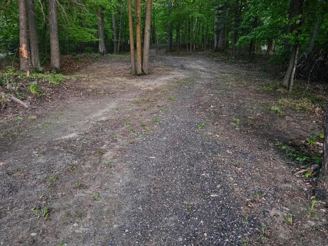 Land for sale in Longville, Cass County