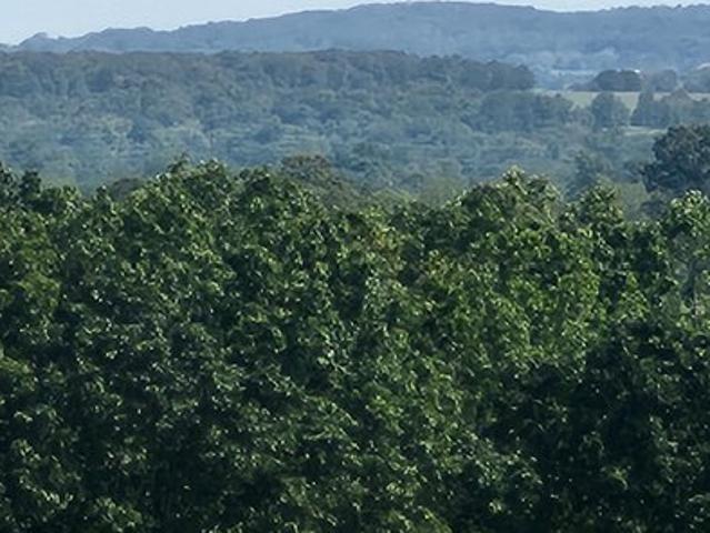 Land for sale in Mountain Grove, Missouri
