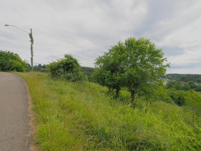 Land for sale in Galax, Virginia