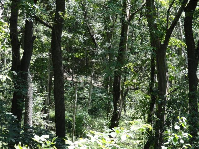 Land for sale in Newell, West Virginia