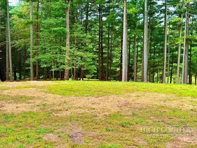 Land for sale in Alleghany, North Carolina