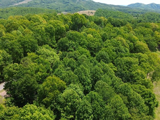 Land for sale in Virginia