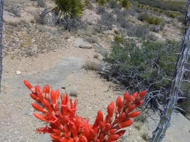 Land for sale in Sierra Blanca, Texas