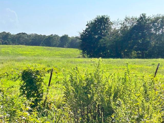 Land for sale in Quitman, White County