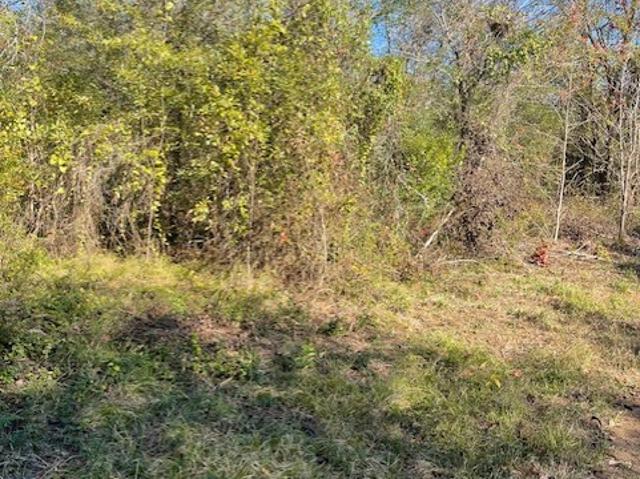 Land for sale in Ark