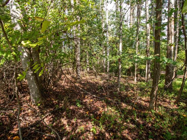 Land for sale in Virginia