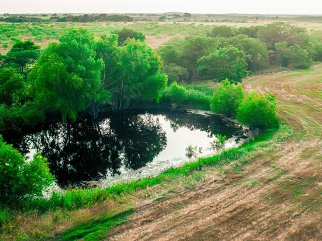 Land for sale in Ellis, Texas