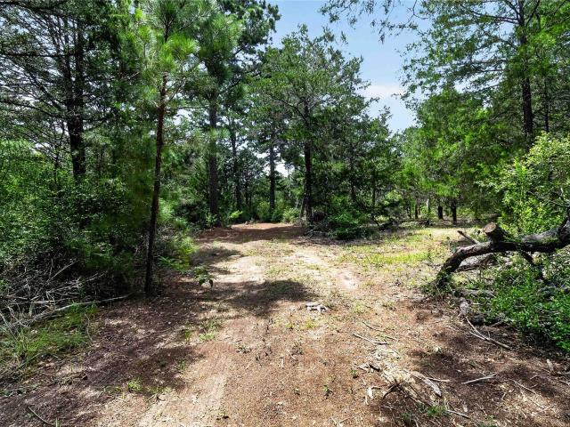 Land for sale in Paige, Texas