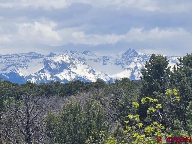 Land for sale in Montrose, Colorado