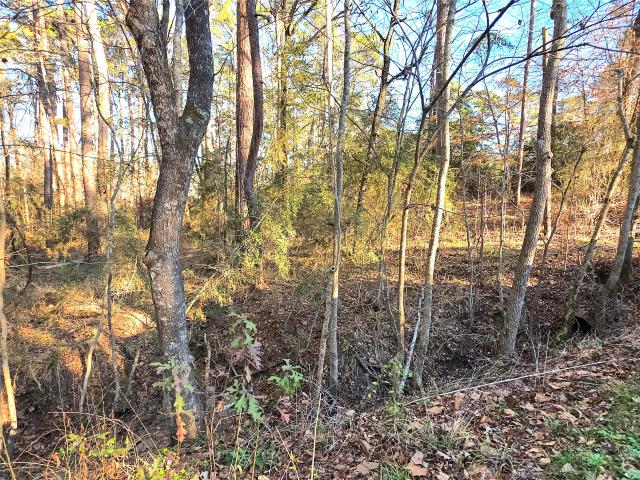 Land for sale in Oakhurst, Texas