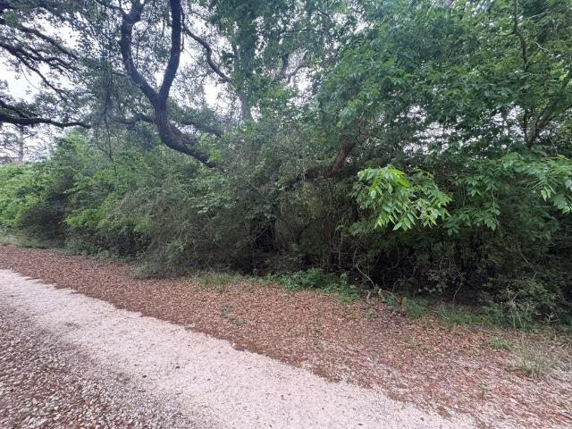 Land for sale in Palacios