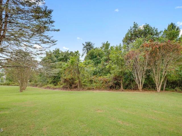 Land for sale in Lakeview, Rogersville